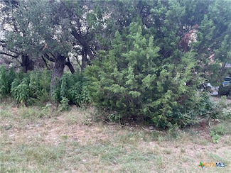 1640 Comfort, Canyon Lake, TX 78133