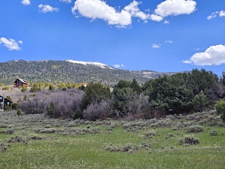 184 N Mountain View Rd, Mount Pleasant, UT 84647