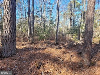 Lot 21 Orange Dr, Hague, VA 22469
