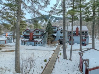 10D River Run Dr Unit 10D, Bartlett, NH 03812