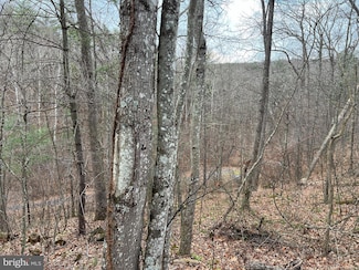 0 Crab Apple Rd, Mount Jackson, VA 22842