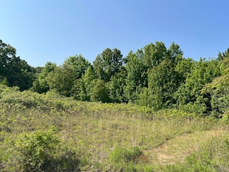 Lot 505 Miranda Dr, Center Township, IN 46350