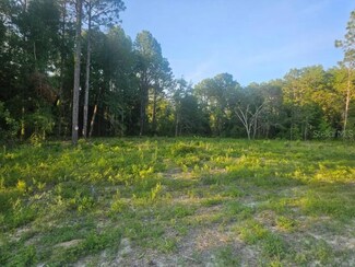15578 Cliff Swallow Rd, Weeki Wachee, FL 34614