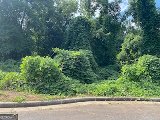 0 Hannah Ct Unit LOT 13 10587187, Barnesville, GA 30204