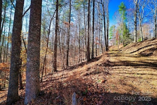 TBD Rockinghorse Trail Unit Tract 1, Burnsville, NC 28714