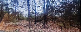 0 Sweetwater Church Rd Unit 10239592, Dawsonville, GA 30534