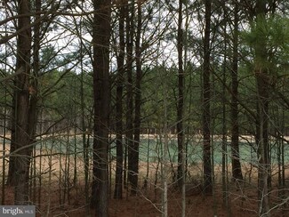 0 Belmont Dr Unit 1004372969, Trappe, MD 21673