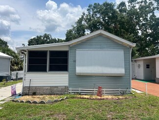 917 Savanna Dr, Kissimmee, FL 34746