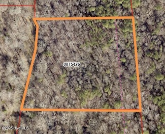 00 N Carolina 902, Pittsboro, NC 27312