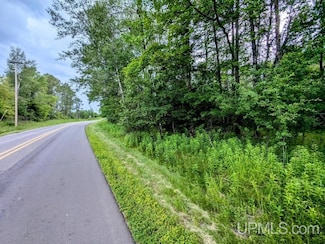 20 acres Fairbanks Rd, Crystal Falls, MI 49920