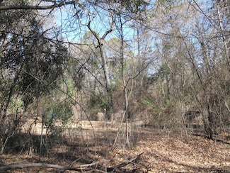 to be determine County Road 2337, Tyler, TX 75707