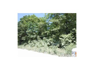 565 NW 1001st Rd, Centerview, MO 64019