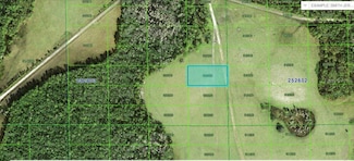 0 Deen Still Rd Unit MFRO6246985, Polk City, FL 33868