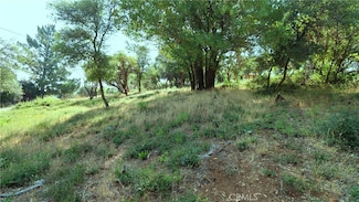 9523 Tenaya Way, Clearlake Riviera, CA 95451