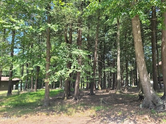 S528 Falcon Crest Ln, Chest Township, PA 16640