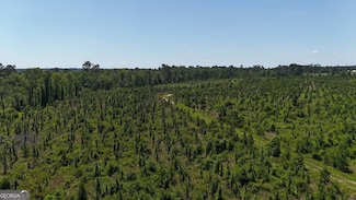 0 Deer Run Rd, Vidalia, GA 30474