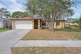 6315 Shane Ln, New Port Richey, FL 34653