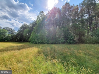 28453 Martins Farm Rd, Milton, DE 19968