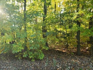 Lot 12 Fair Valley Rd, Martinsburg, PA 16662