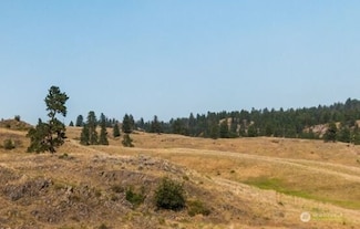 0 Xy Union Ridge Rd, Republic, WA 99166