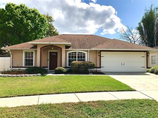 11423 Wellman Dr, Riverview, FL 33578