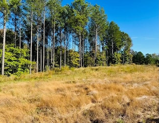 TBD County Road 387, Water Valley, MS 38965