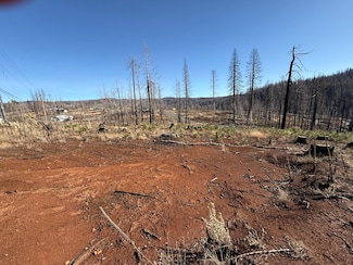 10130 Grizzly Flat Rd, Grizzly Flats, CA 95636
