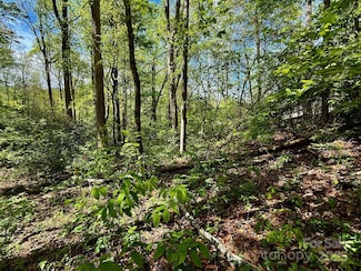 TBD Knox Rd, Black Mountain, NC 28711