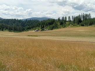 761 Wall Creek Rd, Clearwater, ID 83552