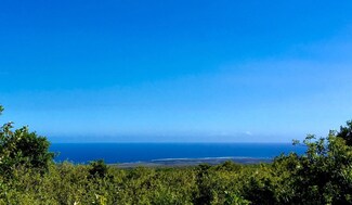 0 Amepela Rd Unit 668293, Naalehu, HI 96772