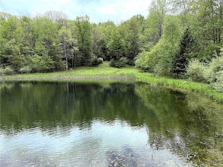 3304 County Road 22, Cameron Mills, NY 14820