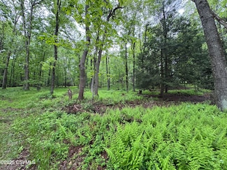 0 Neufer Hollow Rd, Muncy, PA 17756
