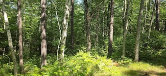 Lot 13 Hide-A-way Trail, Webb Lake, WI 54830