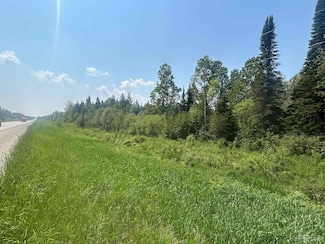 Off Michigan 123, Newberry, MI 49868