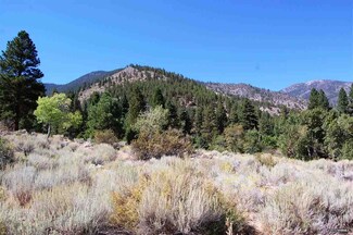 2228 Valley View Dr, Minden, NV 89423