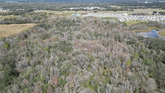 38238 Higginson Rd, Zephyrhills, FL 33540