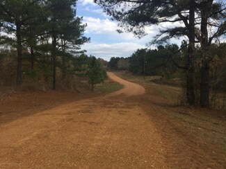 800 Highway 301 Hwy, Lake Cormorant, MS 38641