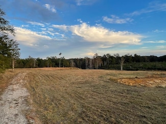 0000 Sones Chapel Rd, Carriere, MS 39426