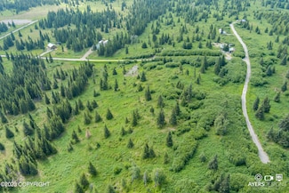 22512 Lowell St, Happy Valley, AK 99639