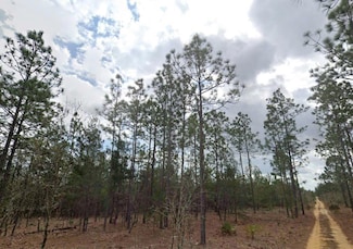 0 Lime Way, Interlachen, FL 32148