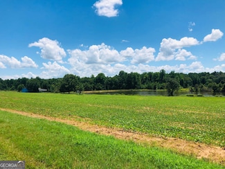 9198 Georgia 224, Montezuma, GA 31063