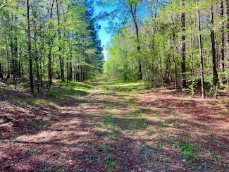 0 Bull Slough Rd, Northport, AL 35475