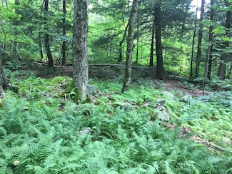 1656 Frost Valley Rd, Claryville, NY 12725