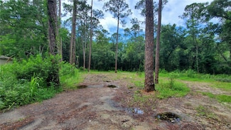 2648 S Park Ave, Sanford, FL 32773