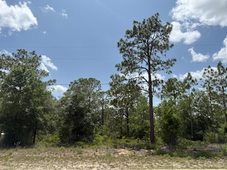 0 SW 167th Ave Unit MFRO6316368, Ocala, FL 34481