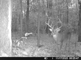 483 Phillips 131 Rd, Marvell, AR 72366