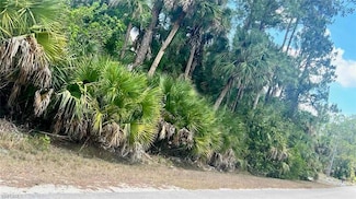 XXXX Jung Blvd E, Rural Estates, FL 34120