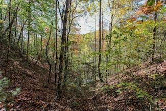 99999 Watia Rd, Bryson City, NC 28713