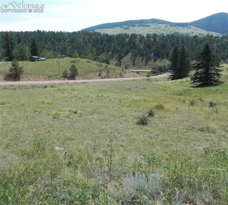53 Nickel Plate Rd, Cripple Creek, CO 80813