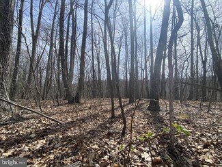 Lot 2 Crestview Ln, Berkeley Springs, WV 25411